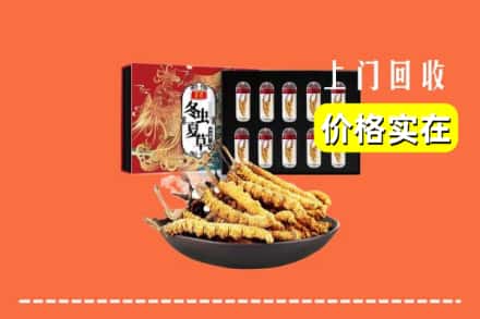 毕节市大方回收冬虫夏草
